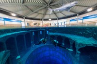 Dive4Life