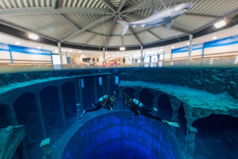 Dive4Life